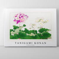 Tanigami Konan - Primrose flower