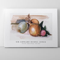 Sir Edward Burne Jones - Still-Life - Study of Onions (1871–1875)