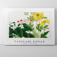 Tanigami konan - Clerodendrum & rudbeckia flower