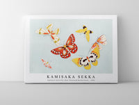 
              Kamisaka Sekka - Japanese butterfly (One Thousand Butterflies) - 1904
            