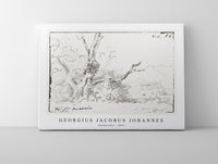
              Georgius Jacobus Johannes - Boomstudie (1854)
            