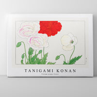 Tanigami Konan - Vintage poppy flower