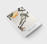 
              Ohara Koson - Birds and plants (1900 - 1936) by Ohara Koson (1877-1945)
            