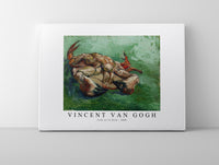 
              Vincent Van Gogh - Crab on its Back 1888
            