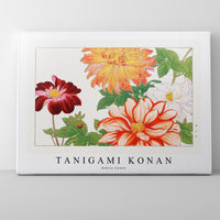 Tanigami Konan - Dahlia flower
