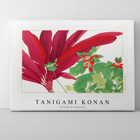 Tanigami Konan - Dracaena & poinsettia