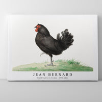 Jean Bernard - Standing black chicken (1775–1833)