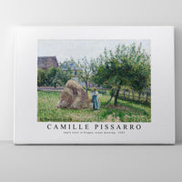 Camille Pissarro - Apple trees in Eragny, sunny morning 1903