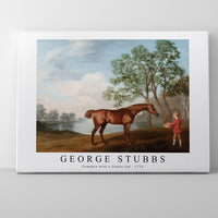 George Stubbs - Pumpkin with a Stable-lad 1774