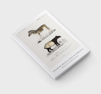 
              Charles Dessalines D'Orbigny - Malayan Tapir (Equus Montanus) and Mountain Zebra (Dauw)
            