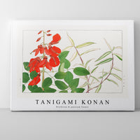 Tanigami Konan - Erythrina & panicum flower