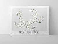 
              Kamisaka Sekka - Japanese butterfly (One Thousand Butterflies) - 1904 (16)
            