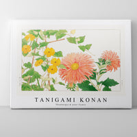 Tanigami Konan - Thunbergia & aster flower