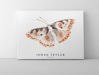 
              Johan Teyler - A butterfly
            