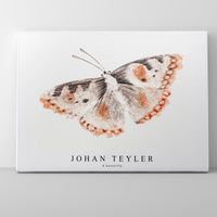 Johan Teyler - A butterfly