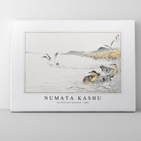 Numata Kashu - Falcated Teal and Reed illustration from Pictorial Monograph of Birds (1885)