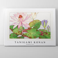 Tanigami Konan - Nymphaea lotus