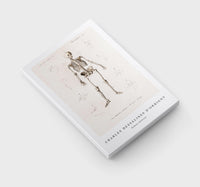 
              Charles Dessalines D'Orbigny - Human skeleton
            