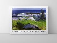
              George Wesley Bellows - Vine Clad Shore, Monhegan Island 1913
            