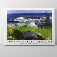 George Wesley Bellows - Vine Clad Shore, Monhegan Island 1913