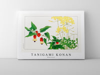 
              Tanigami Konan - Wood sorrel
            