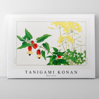 Tanigami Konan - Wood sorrel