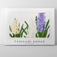 Tanigami Konan - Hyacinthus flower