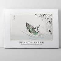 Numata Kashu - Spectacled Teal and Snow-bent Bamboo illustration from Pictorial Monograph of Birds (1885)
