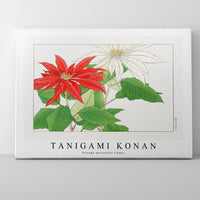 Tanigami Konan - Vintage poinsettia flower