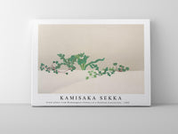 
              Kamisaka Sekka - Green plants from Momoyogusa–Flowers of a Hundred Generations (1909)
            