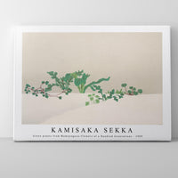 Kamisaka Sekka - Green plants from Momoyogusa–Flowers of a Hundred Generations (1909)
