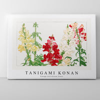Tanigami Konan - Vintage antirrhinum flower