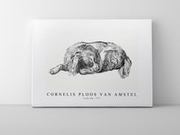 
              Cornelis ploos van amstel - Lying dog-1777
            