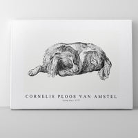 Cornelis ploos van amstel - Lying dog-1777