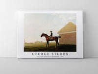 
              George Stubbs - Turf, with Jockey up, at Newmarket 1766
            