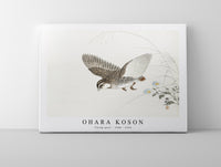 
              Ohara Koson - Flying quail (1900 - 1930) by Ohara Koson (1877-1945)
            