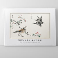 Numata Kashu - Dosky Thrush and Japanese Grey Thrush illustration from Pictorial Monograph of Birds (1885)