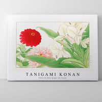 Tanigami Konan - Zinnia & white ginger lily flower