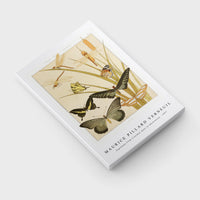 Maurice Pillard Verneuil - Papillons from L'animal dans la décoration (1897)