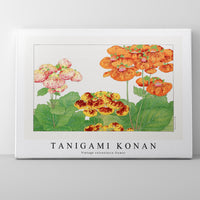 Tanigami Konan - Vintage calceolaria flower