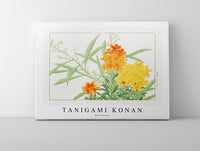 
              Tanigami Konan - Wall flower
            