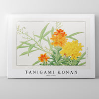 Tanigami Konan - Wall flower