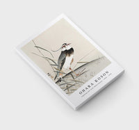 
              Ohara Koson - Lapwing and reed, Ohara Koson (1900 - 1930) by Ohara Koson (1877-1945)
            