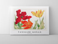 
              Tanigami Konan - Parrot tulip
            