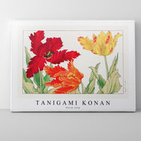 Tanigami Konan - Parrot tulip