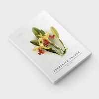 Frederick sander - Cattleya dowiana var chrysotoxa from Reichenbachia Orchids-1847-1920