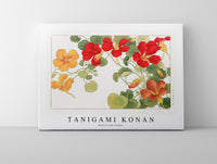 
              Tanigami Konan - Nasturtium flower
            