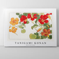 Tanigami Konan - Nasturtium flower