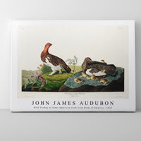 John James Audubon - Wild Turkey or Great American Cock from Birds of America (1827)