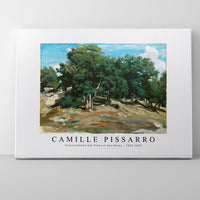 Camille Pissarro - Fontainebleau Oak Trees at Bas-Bréau 1832-1833